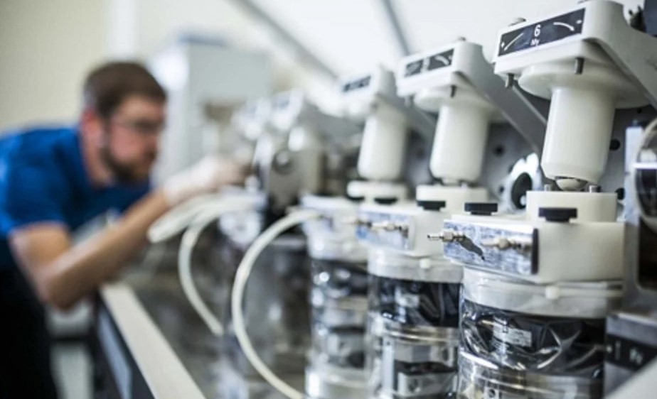 Dlaczego warto stosować preparaty do szamba